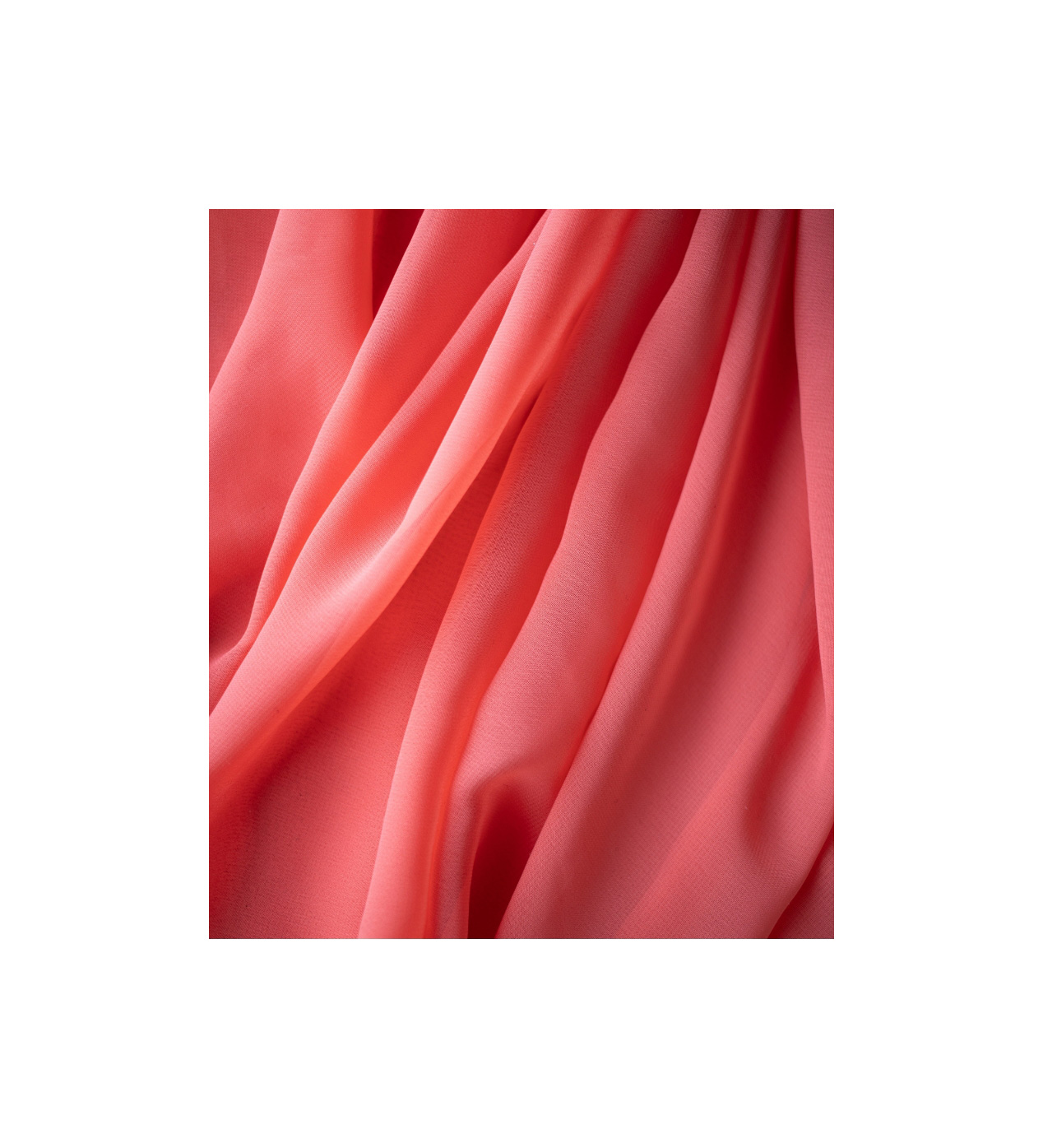 Cotton Fabric - Image 2